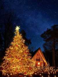 Karuizawa Highland Church Christmas Lighting Guide
