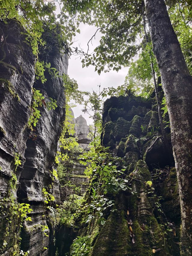 恩施5日遊 不踩坑的玩法大揭秘