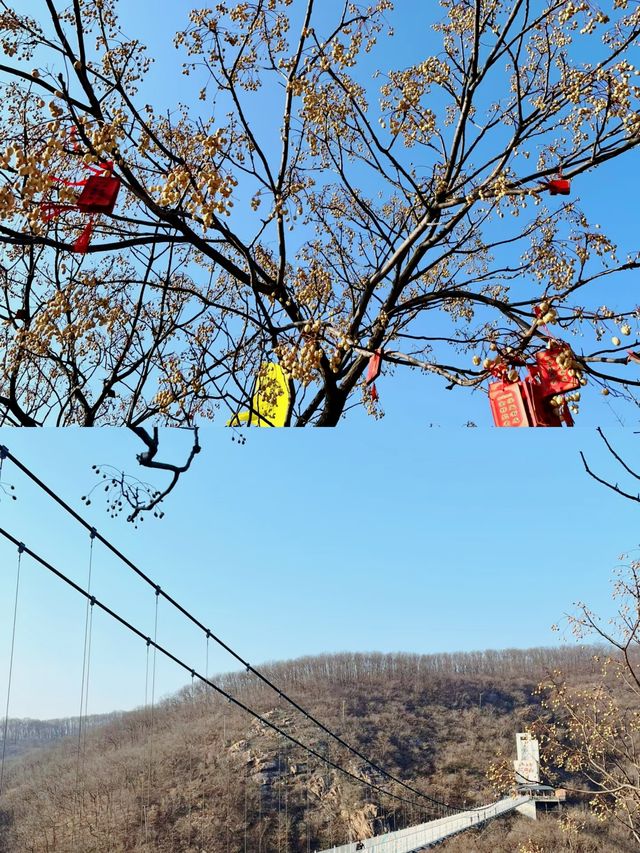 穿越二郎山，探秘神秘的茶馬古道