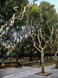 城市公園的歷史印記~徐家匯公園