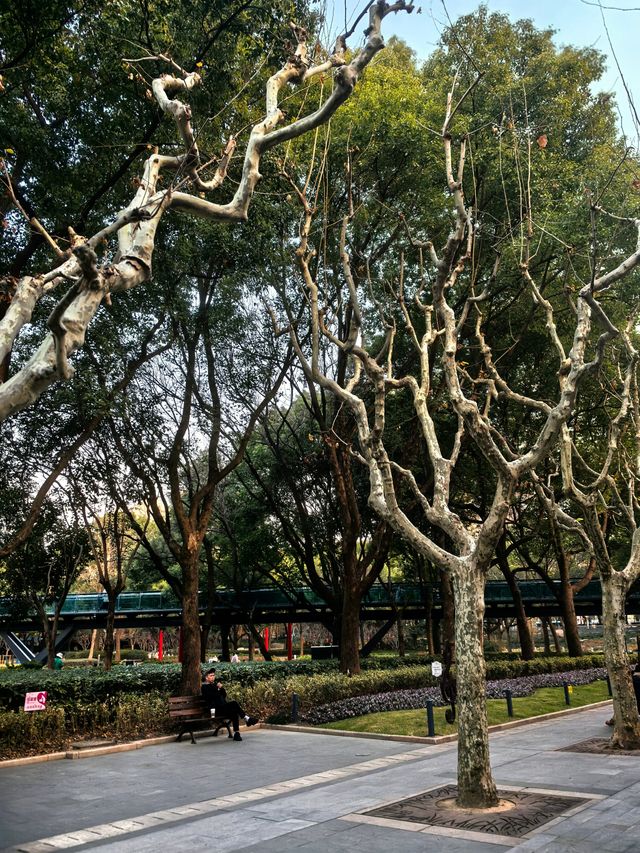 城市公園的歷史印記~徐家匯公園