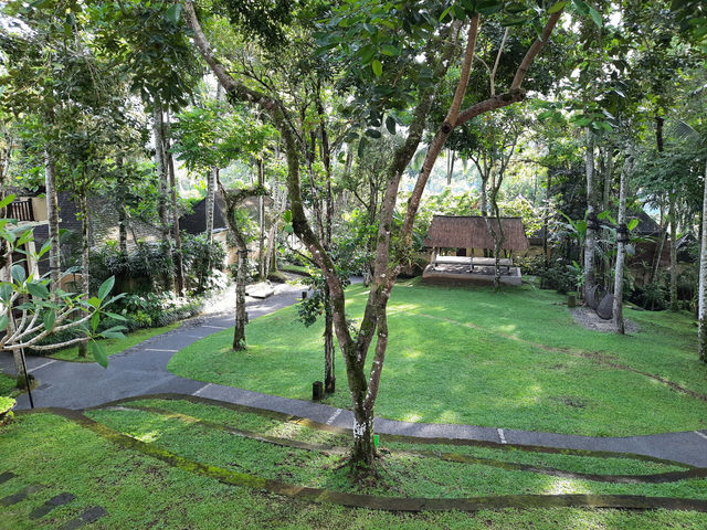 烏布的隱秘天堂 | Ubud Hidden Paradise   酒店：烏布坦加裕達考曼卡酒店 