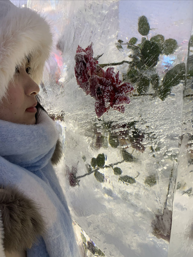 哈爾濱冰雪大世界｜2025最新遊玩攻略