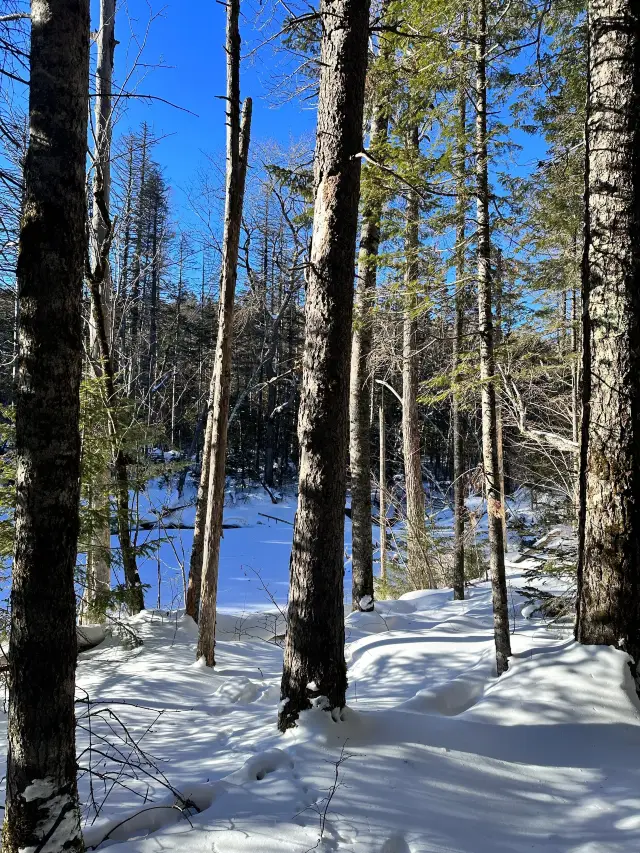 4日間の安図旅行 冬休みの旅行に最適