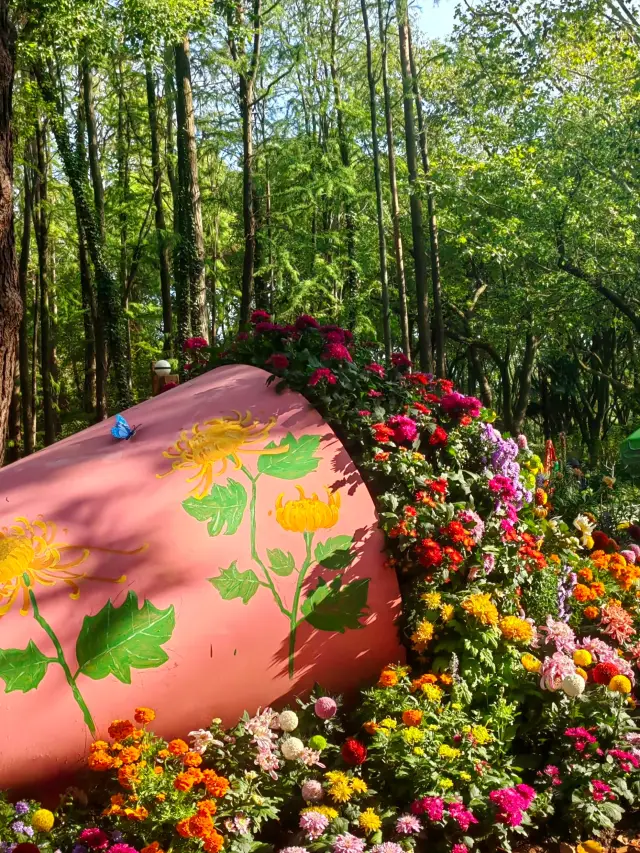 Stumble into a real-life Monet Garden | Gongqing Forest Park, Shanghai