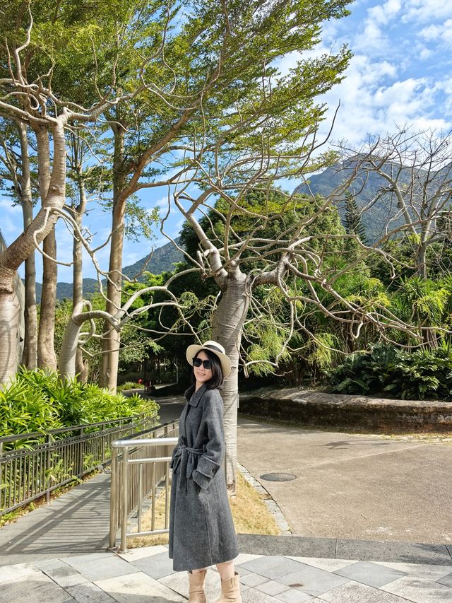 住進深圳森林裡嘅大別墅！丹楓凱麗度假村