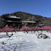 🌨️ A Winter Wonderland at Mengshan Buddha 🏔️