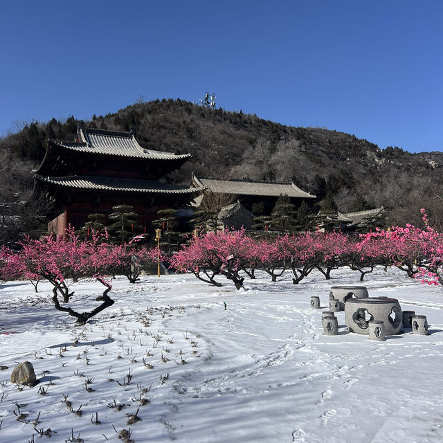 🌨️ A Winter Wonderland at Mengshan Buddha 🏔️