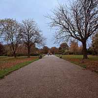探秘阿爾伯特公園：米德爾斯堡的自然秘語