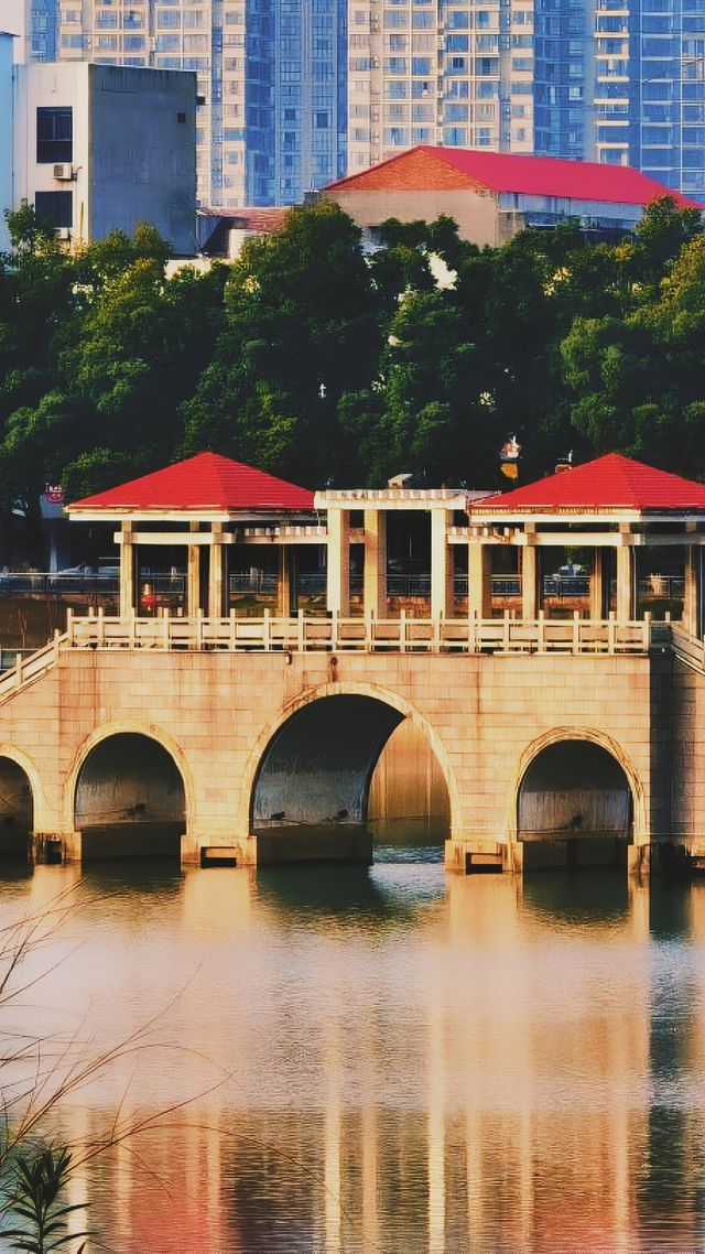 《秀峰公園：益陽的璀璨明珠》