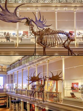 Sydney | Australia's Largest Natural History Museum