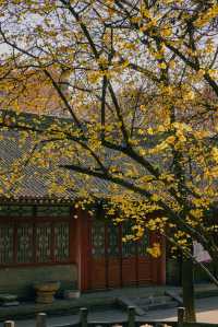 這座擁有1700多年歷史的寺廟的美，太震撼