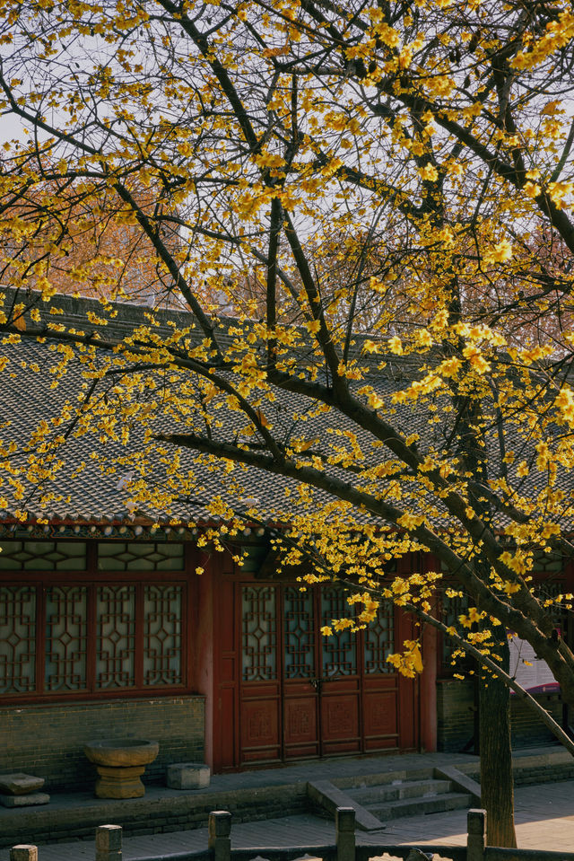 這座擁有1700多年歷史的寺廟的美，太震撼