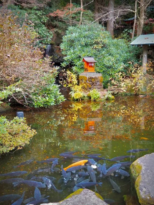 箱根での週末旅行：湯葉丼体験