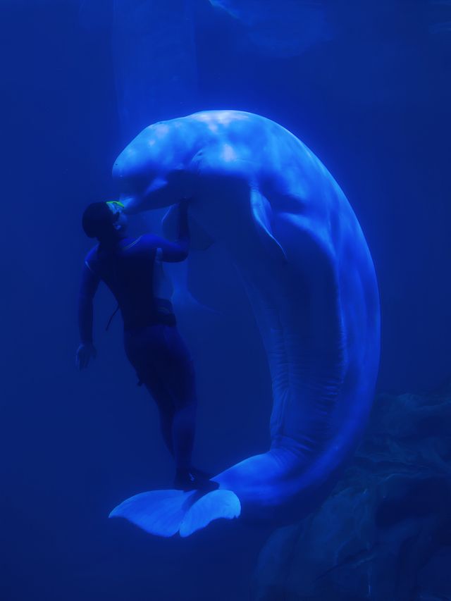 2025最新舟山長喬海洋&雨林動物公園攻略