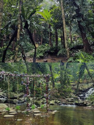 Hainan Natural Oxygen Bar Rainforest Retreat