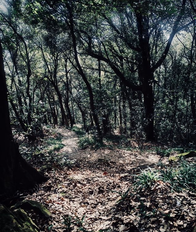 春節後安吉靈峰山