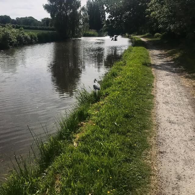 英國麥克爾斯菲爾德柴郡環線——沿河而行的美麗之旅