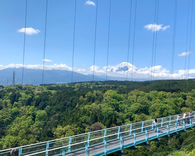 探秘三島天空步道｜解鎖雲端之上的神秘美景