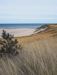 Indiana Dunes State Park 