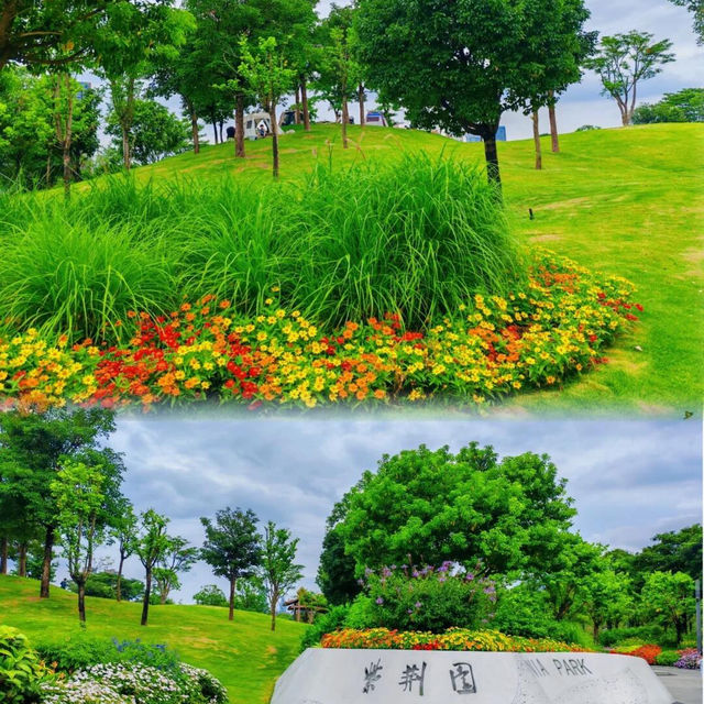 絕美拍照聖地，隨手一拍都是大片！🌸