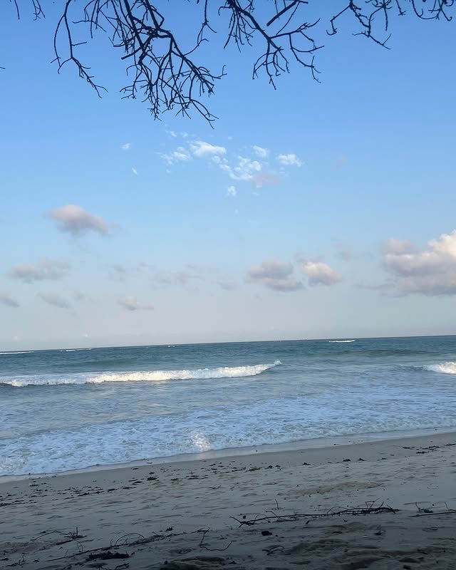 肯亞 蒙巴薩海灘：熱帶魅力的海島天堂 