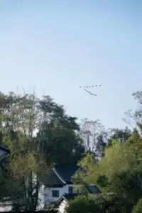 在湖北這家酒店裡，找到了時間的縫隙