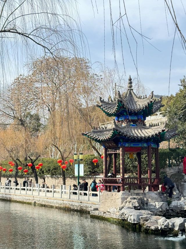 老舍筆下的趵突泉真的好美
