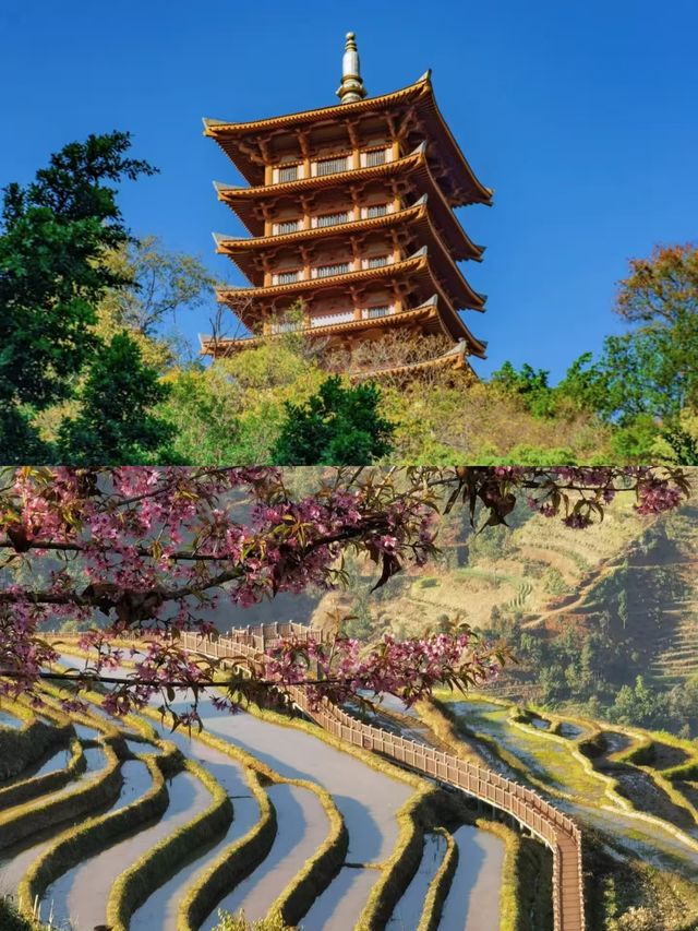 淡季的攀枝花，真的贏麻了。
