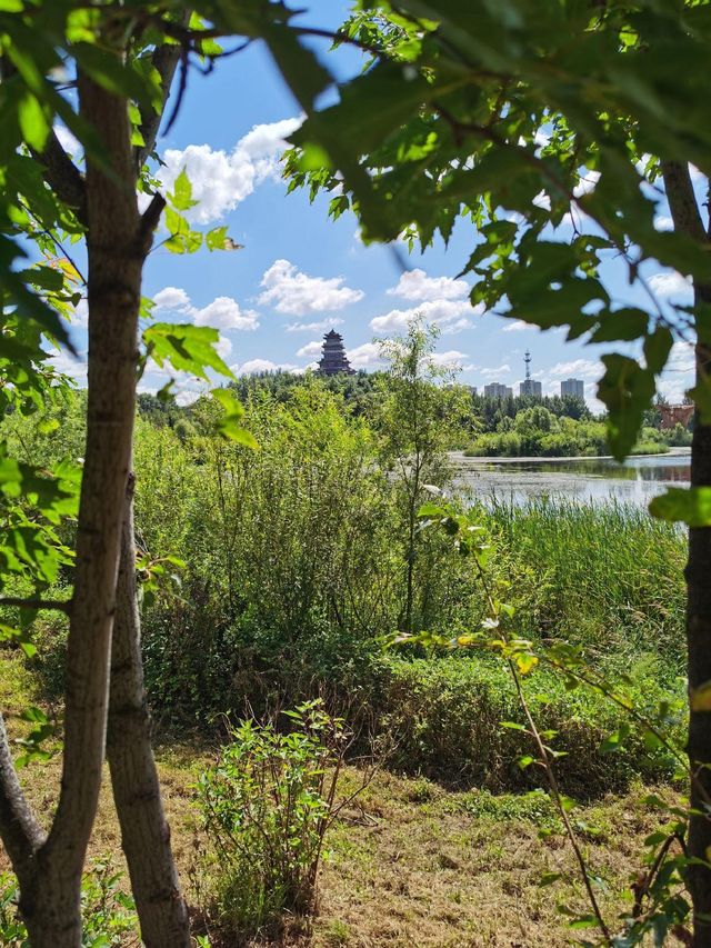吉林四平市植物園：自然之美的繽紛世界