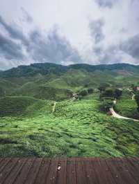 48 Hours in Cameron Highlands 🇲🇾 