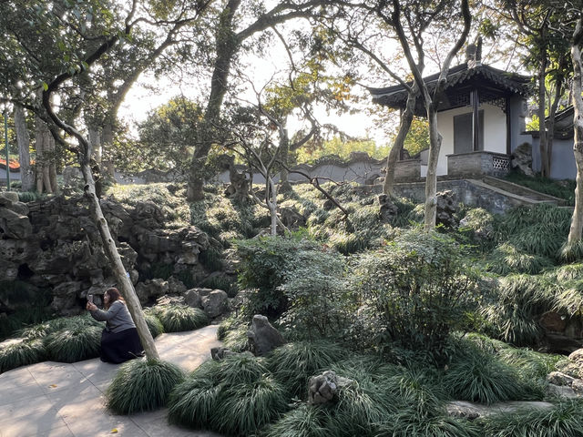 若有所失之「喬園」！