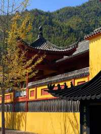 帶孩子去江西明月山-武功山體驗真溫泉之旅