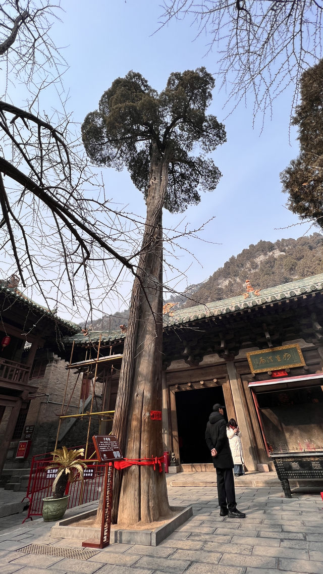 晉城青蓮寺