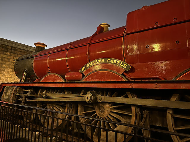 Orlando New Year Disney + Universal Four-Day Five-Park Adventure (Part 2)