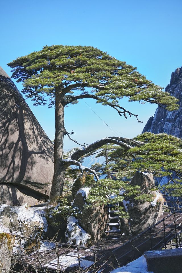 江西安徽｜南昌-婺源-黃山｜七天六夜旅行攻略