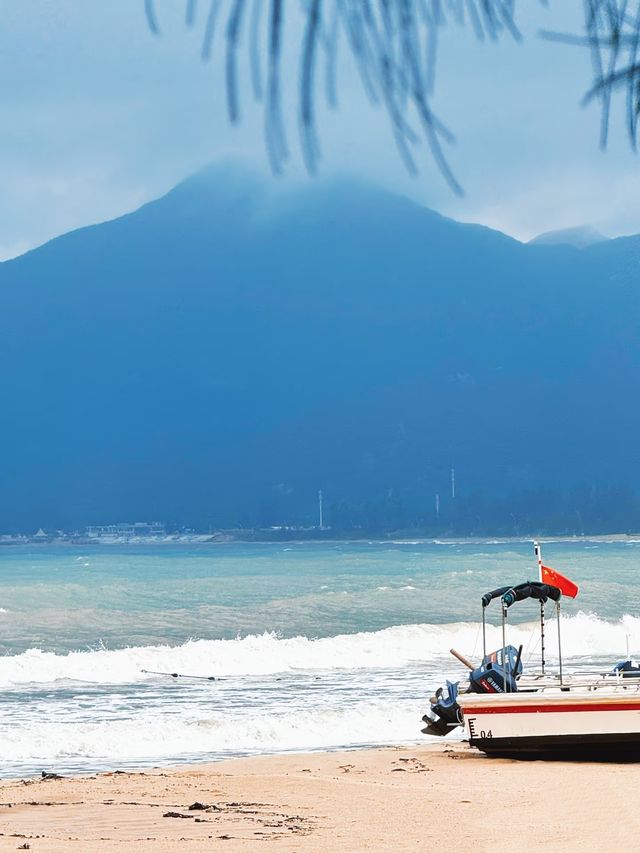 《國家地理雜誌》無欺我！深圳最美海岸線絕了！