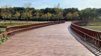 上海嘉北郊野公園嘅秋季遊記：金色稻田與田園風光