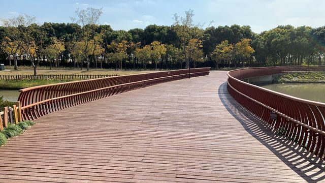 上海嘉北郊野公園嘅秋季遊記：金色稻田與田園風光