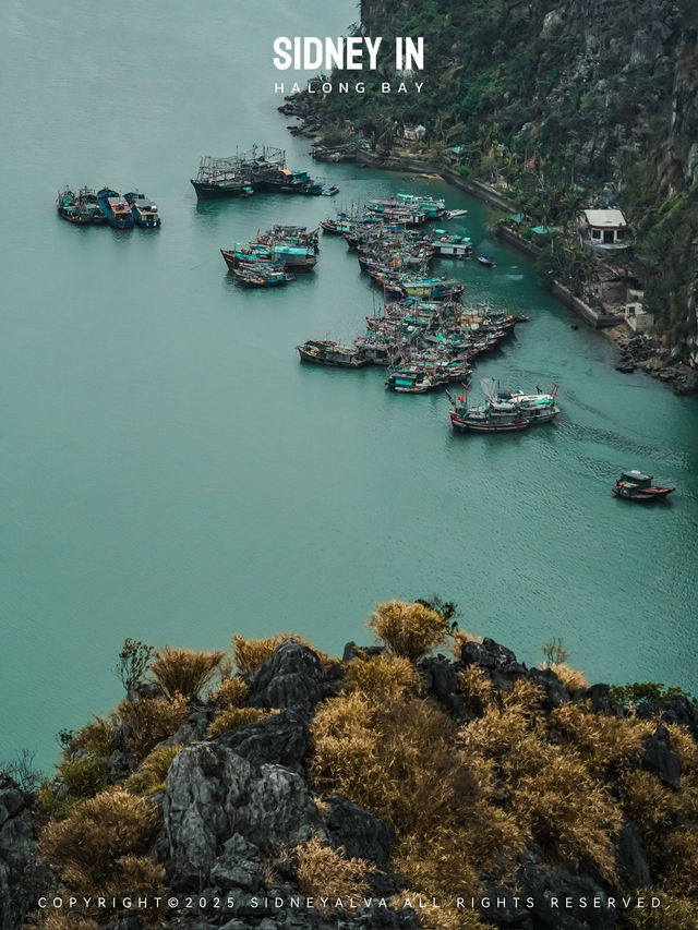 🇻🇳下龍灣顫抖登頂❗️人生封面在此🏞