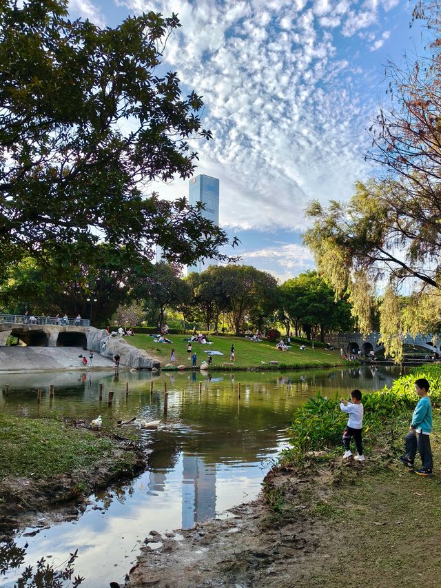 深圳最適合帶小朋友捉魚釣魚的公園
