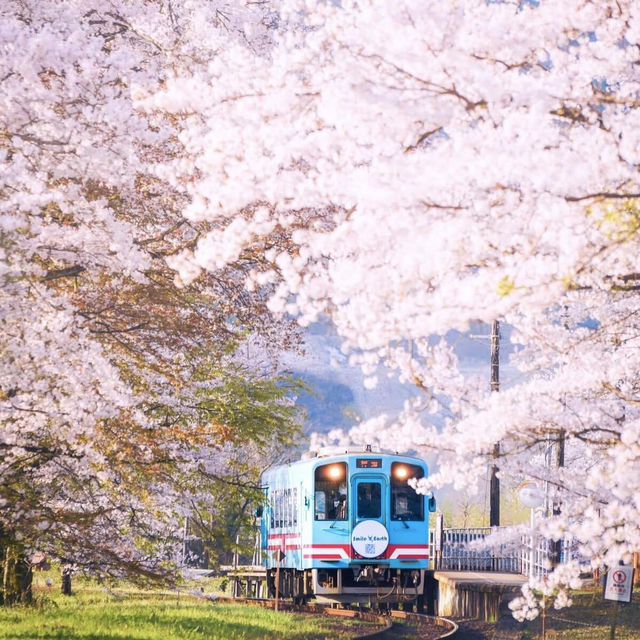 🌸名古屋 | 原以為嵐山電車已美極，直至我來到這裡…