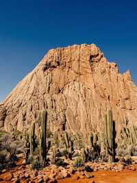 建水佛映蓮花島親子遊全攻略