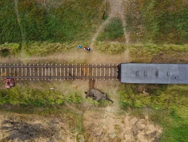 阿布加魯姆自然保護區（Abu Galum Nature Reserve）——紅海秘境探險之旅 