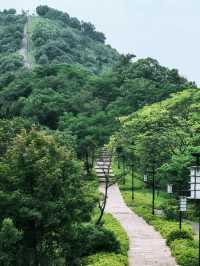 被晚霞美到失語！蕭山竟然藏了一條神仙登山道！