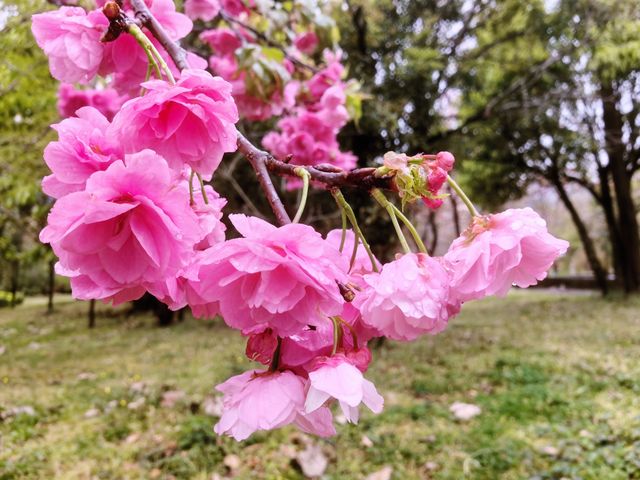 雲南大理三塔寺