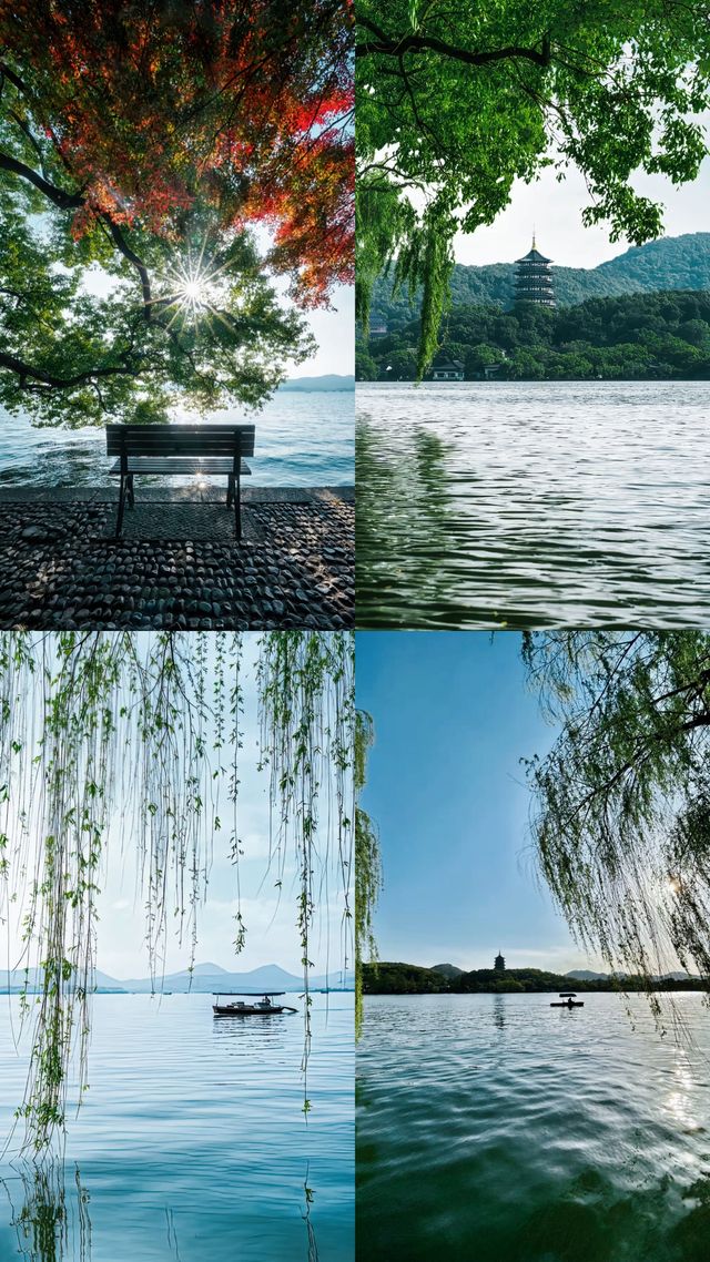 西湖：人間天堂，詩意棲居
