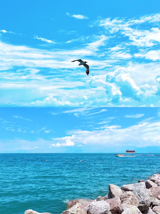 別人看景我出片！青海湖一日遊拍照攻略