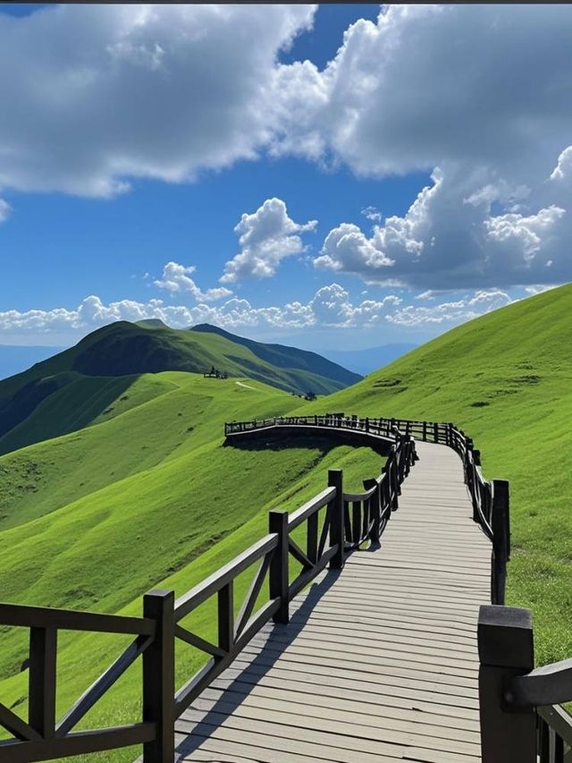 武功山避坑警告！呢7個坑差啲令我碌落山坡