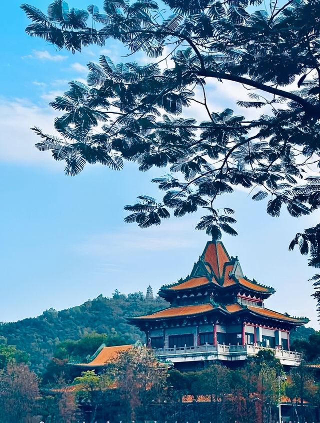 誰還不知道順德順峰山公園我會傷心的OK？